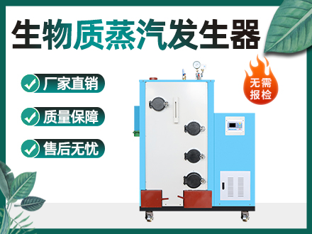 100-300公斤生物质蒸汽发生器