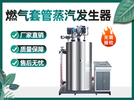 1吨套管燃气蒸汽发生器