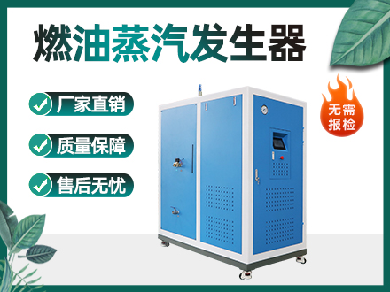 300公斤燃油蒸汽发生器