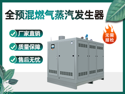 1吨全预混环管燃气蒸汽发生器